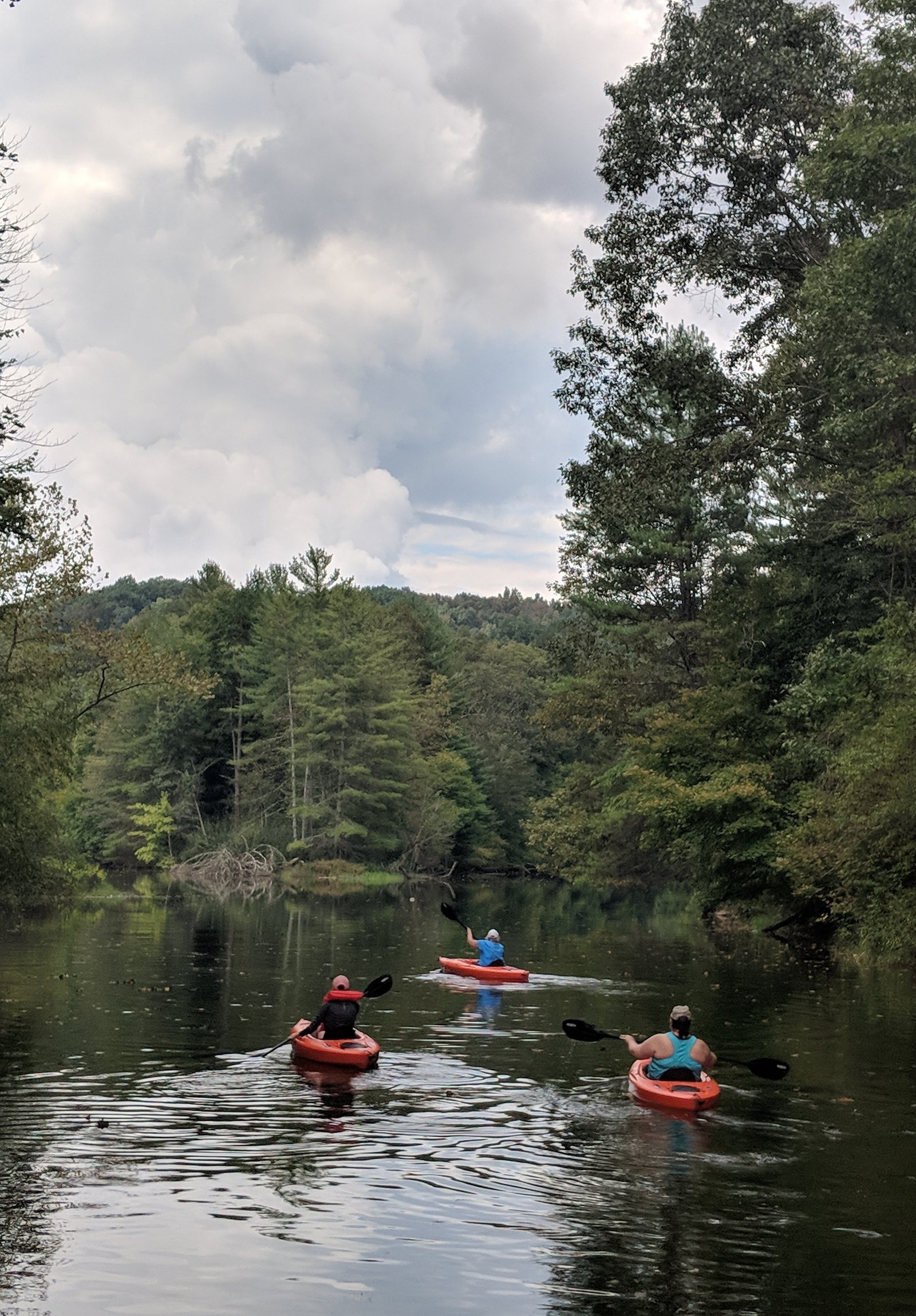 Guided Water Adventure on the North Fork Pound Reservoir Stone